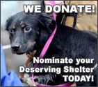 We donate to animal shelters We donate to animal shelters