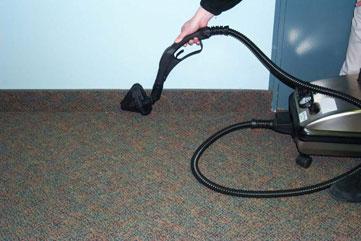 How to Use Steam Cleaner for Bed Bugs  